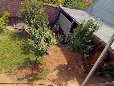 Həyət evləri və villaların satışı: 5 otaqlı, 450 kv. m, Kredit yoxdur, Orta təmir — 18