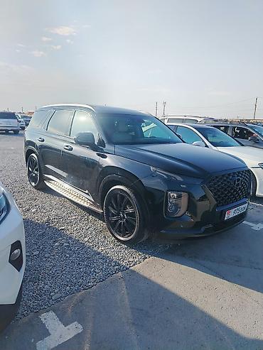 силк вэй: Hyundai Palisade: 2020 г., 2.2 л, Автомат, Дизель, Кроссовер — 1
