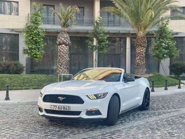 Digər avto xidmətlər: Toy, Nişan və digər tədbirlər üçün sifariş edə bilərsiz. ( Qiymət — 9