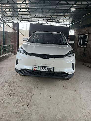 BYD: BYD Destroyer 05: 2021 г., Электромобиль, Кроссовер — 10