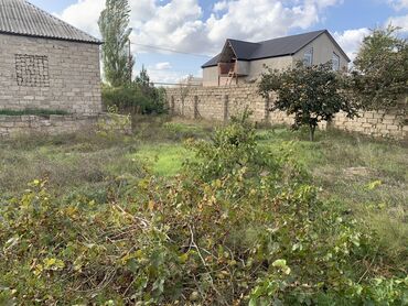 Bağ evlərinin satışı: Bakı, Albalı, 110 kv. m, 3 otaqlı, Hovuzsuz, Kanalizasiya, Qaz, Su -da lalafo.az — 5 Bağ evlərinin satışı: Bakı, Albalı, 110 kv. m, 3 otaqlı, Hovuzsuz, Kanalizasiya, Qaz, Su — 5