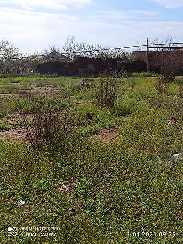 Torpaq sahələrinin satışı: Tikinti, Müqavilə — 6