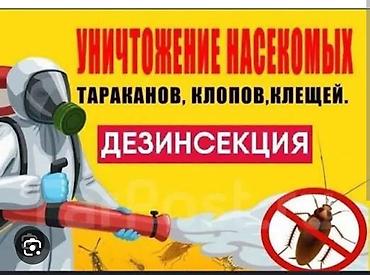 келемиш: Дезинфекциялоо, дезинсекциялоо, | Таракандар, Кумурскалар, Вирустар, микробдор, | Батирлер — 3