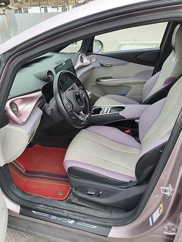 BYD: BYD Dolphin: 2022 г., Электромобиль, Хэтчбэк — 6