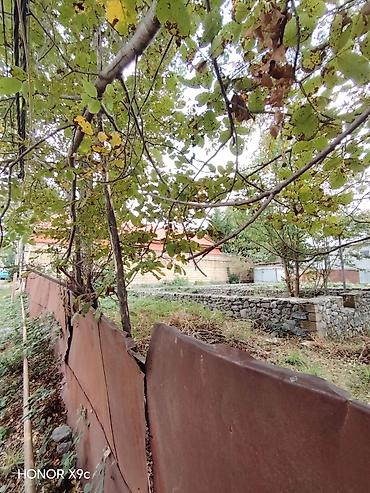 sumqayit 17 mkr: 3 sot, Tikinti, Mülkiyyətçi, Kupça (Çıxarış) — 10