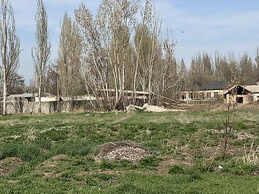 Продажа коттеджей и домов: Продаю дом с участком 21 сотки. Ысык Атинский район. Все документы в — 9