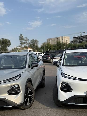 byd e9 1: Changan Qiyuan Q05: 2026 г., Электромобиль — 4