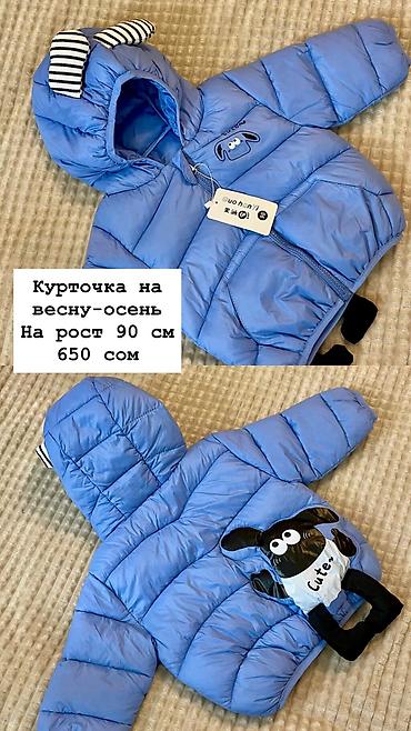 Детская куртка для весны-осени. - Размер/рост: на 90 см - Цвет