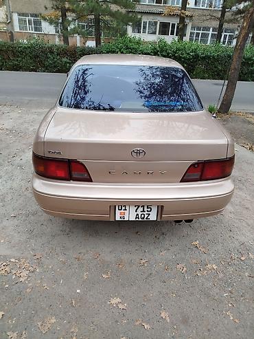 тойота камри 1996: Toyota Camry: 1996 г., 3 л, Механика, Газ, Седан — 5