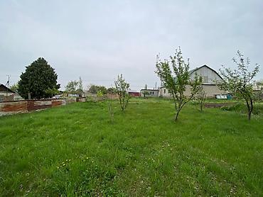 комм: 10 соток, Курулуш, Кызыл китеп — 1