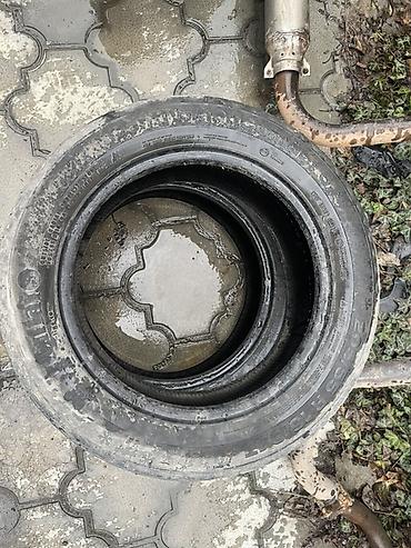 балон кышкы: Шиналар 205 / 55 / R 16, Кыш, Колдонулган, Жуп, Жеңил унаалар, Continental — 2