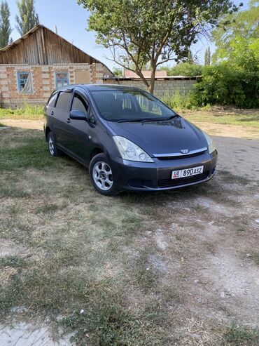 машины на российских номерах: Toyota WISH: 2004 г., 1.8 л, Автоматтык, Бензин, Универсал