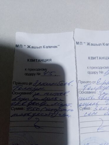 чехлы на ми: Квитанция (бланк строгой отчетности) - Тип: квитанция к приходному