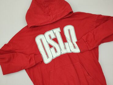 print t shirty: House, Women`s hoodie, size M (EU 38)