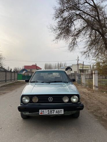 Volkswagen: Volkswagen Golf: 1990 г., 1.8 л, Механика, Бензин, Внедорожник