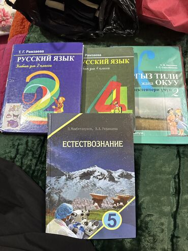 книги на 2 класс: Книги 5 Русский 2класс - 4класс Рамзаева Кыргызский 2 класс