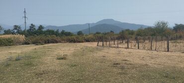 Torpaq sahələrinin satışı: 6 sot, Tikinti, Kupça (Çıxarış) -da lalafo.az — 15 Torpaq sahələrinin satışı: 6 sot, Tikinti, Kupça (Çıxarış) — 15