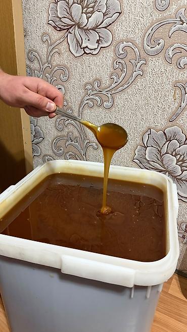 Дом и сад: 🍯 Натуральный пчелиный гречишный мёд. Очень вкусный и полезный — 3