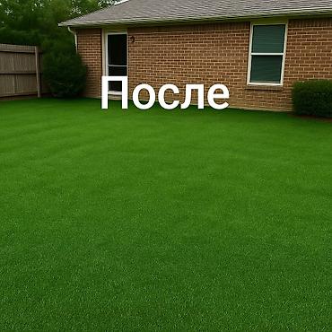 Газон: 🌞 Когда хочется лета - постелите газон! 🌿 Зелёный уголок у себя дома — 3