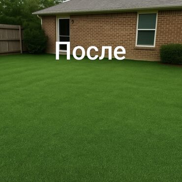 Газон: Искусственный газон искусственная трава декорации декор 🌞 Когда — 11