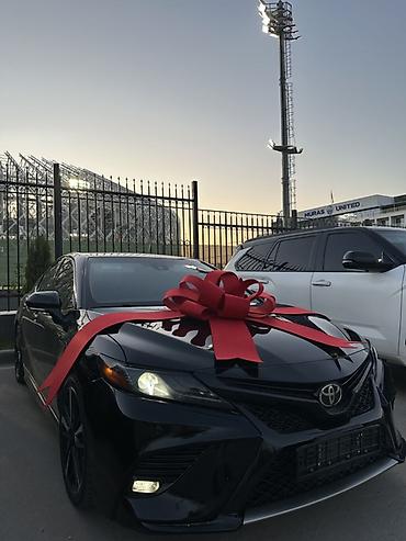 аренда декор: Аренда декоративных бантов для авто 🚘АКЦИЯ — всего 700 сом/сутки! — 3