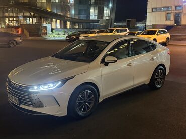 запчасти гольф 2: BYD Destroyer 05: 1.5 l | 2024 il Kupe