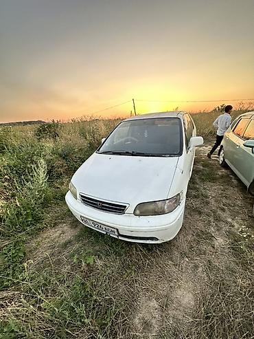 Honda Odyssey: 1999 г., Автомат, Минивэн at lalafo.kg Honda Odyssey: 1999 г., Автомат, Минивэн