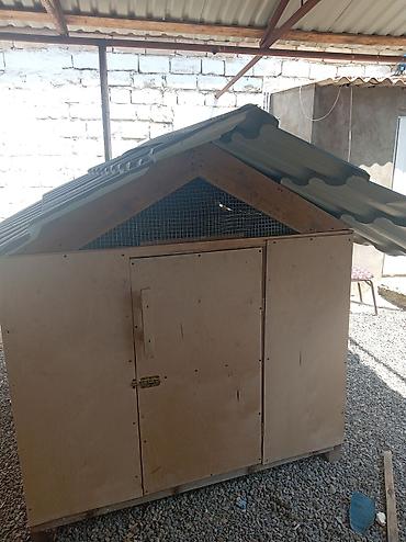 большая клетка для кролика: Taxta toyuq kümesi / quşxana - Material: bərk karkas, kontrplaxtan — 3