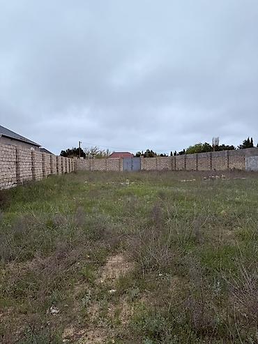 massive: 12 sot, Tikinti, Kupça (Çıxarış) — 4