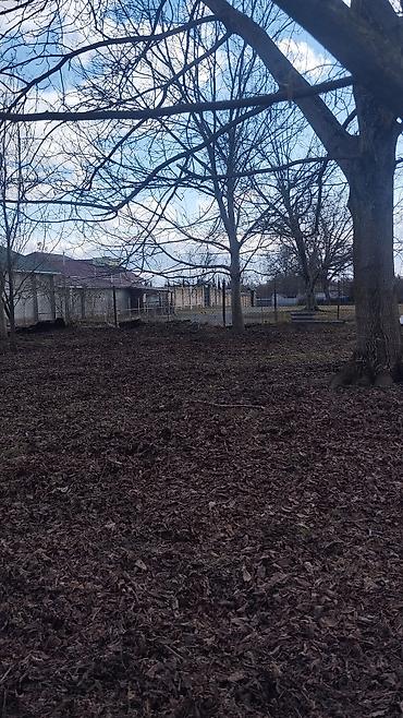 Torpaq sahələrinin satışı: 10 sot, Tikinti, Maklerlər narahat etməsin, Kupça (Çıxarış) — 9