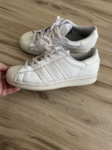 adidas superstar o: Adidas, 38, bоја - Bela