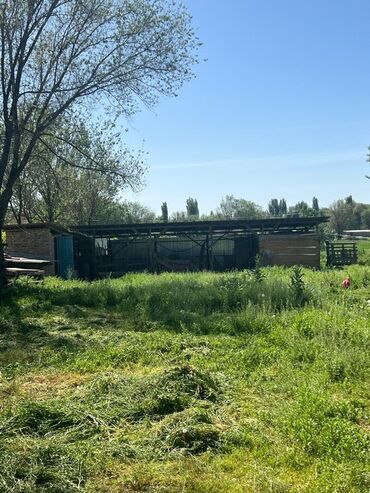 дом кара балта квартира: Времянка, 34 м², 2 комнаты, Собственник, Старый ремонт