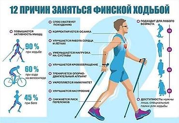 сканди: Трекинговые палки для скандинавской ходьбы,для походов в горы — 6