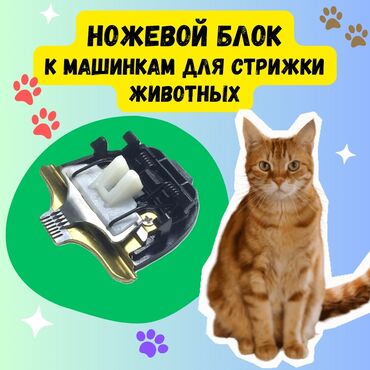 клетки для кошек: Запасной ножевой блок к машинкам для стрижки собак и кошек