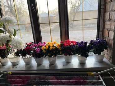 Декоративные цветы: Искусственные горшечные цветы - Яркие декоративные композиции в белых — 19