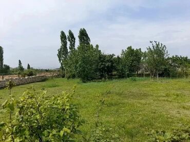 Həyət evləri və villaların satışı: 4 otaqlı, 120 kv. m, Orta təmir -da lalafo.az — 8 Həyət evləri və villaların satışı: 4 otaqlı, 120 kv. m, Orta təmir — 8