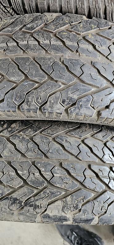 pir: Шины 235 / 65 / R 17, Лето, Б/у, Пара, Легковые, Германия, Pirelli — 1
