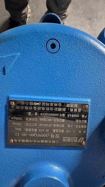 150w: Погружные фекальные/дренажные насосы (WQ), промышленные, трехфазные — 5