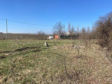 Torpaq sahələrinin satışı: Kənd təsərrüfatı — 6