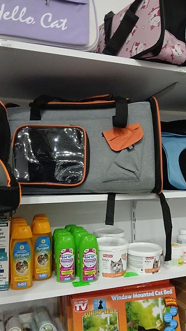 Pişiklər: Erkək, Pulsuz çatdırılma — 21