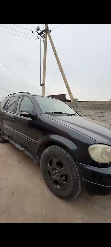 w163: Mercedes-Benz ML-Class: 2003 г., 3.2 л, Автомат, Бензин, Кроссовер — 8