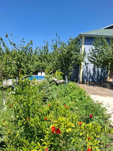 Günlük kirayə evlər: 100 kv. m, 4 otaqlı — 10