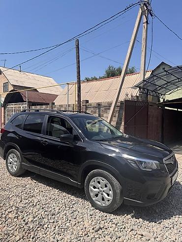 forest: Subaru Forester: 2018 г., Кроссовер — 2