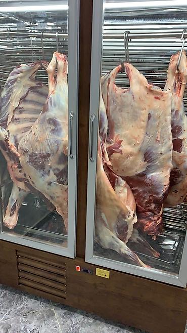 Холодильное оборудование: Для мяса, мясных изделий, Кыргызстан, Новый — 2