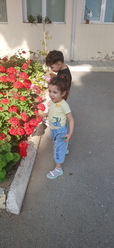 Dayələr: Babek pr oz evimde dayelik edirem yatli da qala biler qiymerde