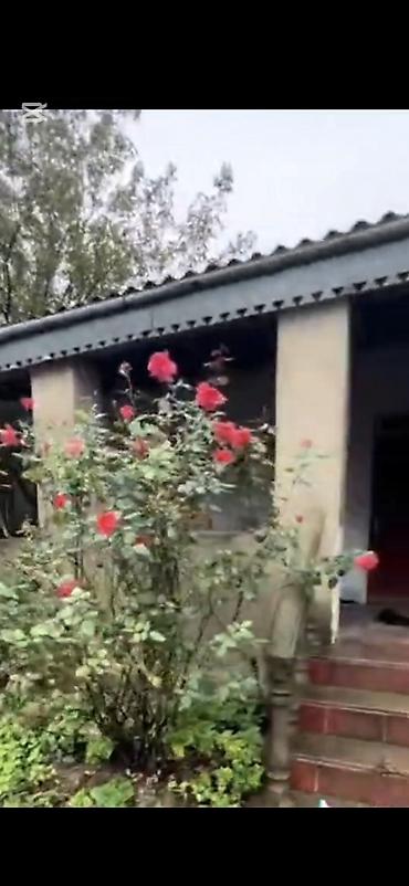 mastagada ev satilir: Həyət evi – Saray qəs. - Qiymət: 62 000 AZN (şəkildə göstərilib) - — 6