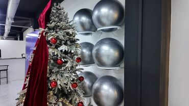 Hazır biznes: Hazır Biznes Satılır – Qadınlar üçün Reformer Pilates Zalı Zal hazır — 12