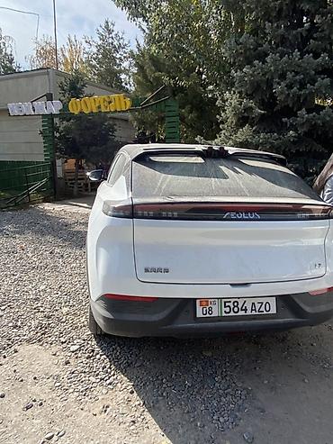 aeolus: Dongfeng : 2026 г., Электромобиль, Кроссовер — 3