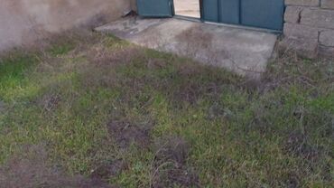 Torpaq sahələrinin satışı: 6 sot, Tikinti, Makler, Kupça (Çıxarış), Texniki pasport — 5