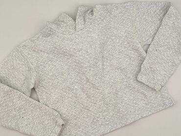 Світшот, KappAhl, 15 р., 164-170 см, стан - Дуже гарний